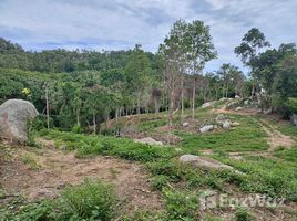  Land for sale in Maret, Koh Samui, Maret