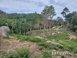  Grundstück zu verkaufen in Koh Samui, Surat Thani, Maret