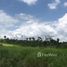  Land for sale in Novo Airao, Amazonas, Novo Airao