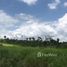  Land for sale in Amazonas, Novo Airao, Amazonas