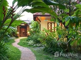 3 Bedroom House for sale in Chiang Mai, Khua Mung, Saraphi, Chiang Mai