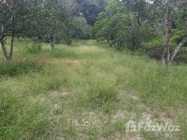 N/A Land for sale in Ban Laeng, Rayong Land For Sale in Rayong
