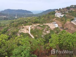 ขายที่ดิน ใน ตลิ่งงาม, สุราษฎร์ธานี, ตลิ่งงาม