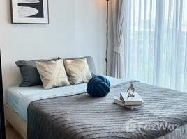 คอนโด 1 ห้องนอน ให้เช่า ในโครงการ โมดิซ สุขุมวิท 50, พระโขนง, คลองเตย, กรุงเทพมหานคร