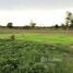  Land for sale in Thailand, Song, Nam Yuen, Ubon Ratchathani, Thailand