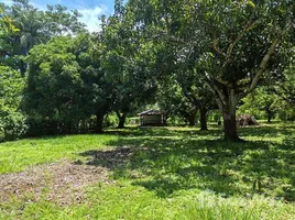  Land for sale in Orotina Alajuela, Orotina, Alajuela, Costa Rica