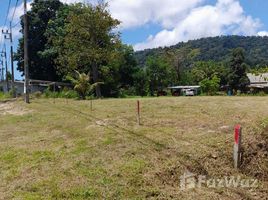  Land for sale in Phuket, Pa Khlok, Thalang, Phuket