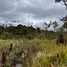 Terrain à vendre à Cosanga, Napo, Cosanga