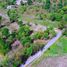  Земельный участок for sale in Nam Phrae, Чианг Маи, Nam Phrae, Ханг Донг