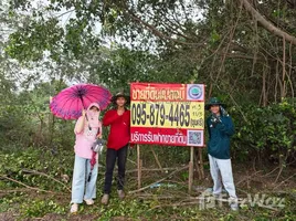  Land for sale in Khlong Sam, Pathum Thani, Khlong Sam, Khlong Luang, Pathum Thani, Thailand