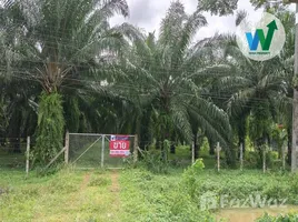 ขายที่ดิน ใน โตนดด้วน, พัทลุง, โตนดด้วน, ควนขนุน, พัทลุง, ไทย