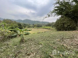  Grundstück zu verkaufen in Mae Taeng, Chiang Mai, Sop Poeng, Mae Taeng, Chiang Mai