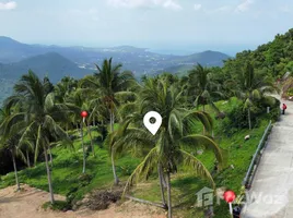 ขายที่ดิน ใน บ่อผุด, สุราษฎร์ธานี, บ่อผุด