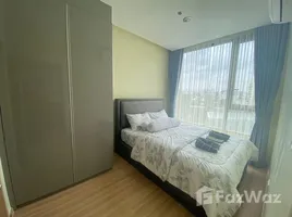 1 Bedroom Condo for rent at Skyrise Avenue Sukhumvit 64, Bang Chak, Phra Khanong, Bangkok, Thailand