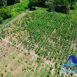 Solar en Imbert, foto 3