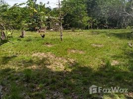  Land for sale in Amazonas, Presidente Figueiredo, Presidente Figueiredo, Amazonas