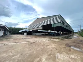  Warehouse for rent in Surat Thani, Si Wichai, Phunphin, Surat Thani