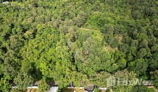 N/A Land for sale in Mae Sa, Chiang Mai 