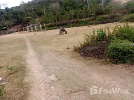  Terreno (Parcela) en venta en Are Guling, Lombok, Are Guling, Lombok Tengah, Lombok, Indonesia