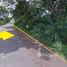  Land for sale in San Sai, Chiang Mai, Nong Chom, San Sai