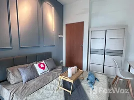 Studio Appartement zu vermieten im Damansara Damai, Padang Masirat, Langkawi, Kedah