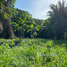  Land for sale in Roatan, Bay Islands, Roatan