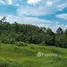  Terreno (Parcela) en venta en Khao Thong, Krabi, Khao Thong, Mueang Krabi, Krabi, Tailandia