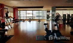 Фото 3 of the Communal Gym at Supalai Premier Asoke