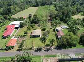  Terreno (Parcela) en venta en Costa Rica, Guacimo, Limón, Costa Rica