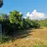 ขายที่ดิน ใน น้ำแพร่, เชียงใหม่, น้ำแพร่, หางดง