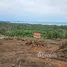  Land for sale in Koh Samui, Ang Thong, Koh Samui