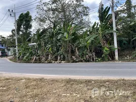 ขายที่ดิน ใน ภูเก็ต, เชิงทะเล, ถลาง, ภูเก็ต