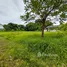  Land for sale in San Kamphaeng, Chiang Mai, Buak Khang, San Kamphaeng