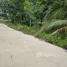 FazWaz.jp で売却中 土地区画, マエナム, サムイ島, Surat Thani, タイ