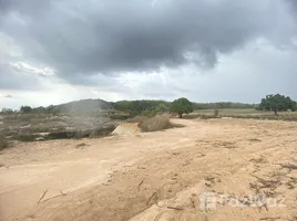 ขายที่ดิน ใน เขาไม้แก้ว, พัทยา, เขาไม้แก้ว, พัทยา