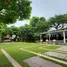 3 Bedroom Townhouse for sale at Plus Citypark Ngamwongwan 25 , Bang Khen, Mueang Nonthaburi, Nonthaburi