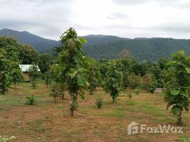 N/A Land for sale in Samoeng Nuea, Chiang Mai Land For Sale 6 Rai At Mae Rim