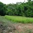  Terrain for sale in Fernando De Noronha, Rio Grande do Norte, Fernando De Noronha, Fernando De Noronha