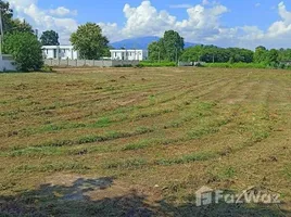 ขายที่ดิน ใน น้ำแพร่, เชียงใหม่, น้ำแพร่, หางดง