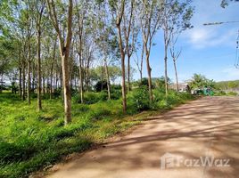 甲米 Sai Thai 3 Ngan Land in Developing Area close to Nature in Krabi N/A 土地 售 