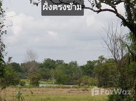  Земельный участок for sale in Bang Muang, Takua Pa, Bang Muang