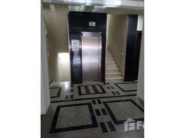 3 Bedroom Apartment for rent at La Mirada Compound, The 5th Settlement, New Cairo City