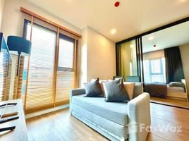 2 Bedroom Apartment for rent at Modiz Sukhumvit 50, Phra Khanong, Khlong Toei, Bangkok, Thailand