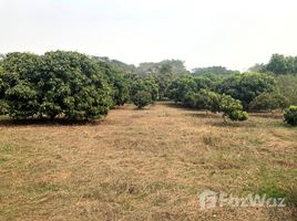  Земельный участок for sale in Чианг Маи, Чианг Дао, Chiang Dao, Чианг Маи