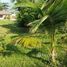  Land for sale in Roatan, Bay Islands, Roatan