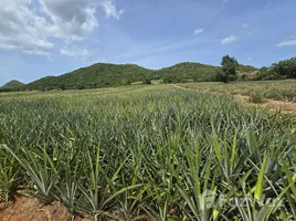  Land for sale in Sam Roi Yot, Hua Hin, Sam Roi Yot