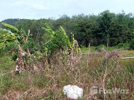  Land for sale in Phuket Town, Phuket, Chalong, Phuket Town