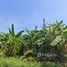 Земельный участок for sale in Bang Phai, Бангкок, Bang Phai