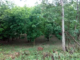 ขายที่ดิน ใน เชียงกลม, เลย, เชียงกลม, ปากชม