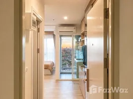 1 Bedroom Condo for rent at Regent Home Bangna, Bang Na, Bang Na, Bangkok